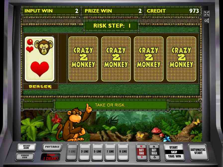 Рискованный раунд в автомате Обезьянки 2 Риск-игра в слоте Crazy Monkey 2