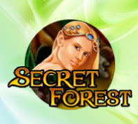 Secret Forest