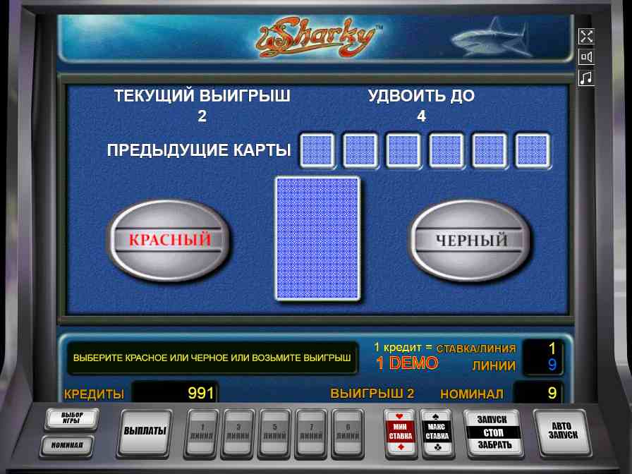 Рискованный раунд в автомате Акула Риск-игра в слоте Sharky